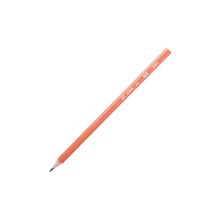 DELI Harilik pliiats 12tk(HB,kolmekandiline, painduv)
